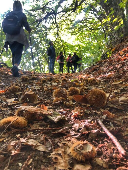 Viaggio nel tempo a Monte di Malo: trekking e cena di prodotti locali Viaggio nel tempo a Monte di Malo: trekking e cena di prodotti locali desktop picture