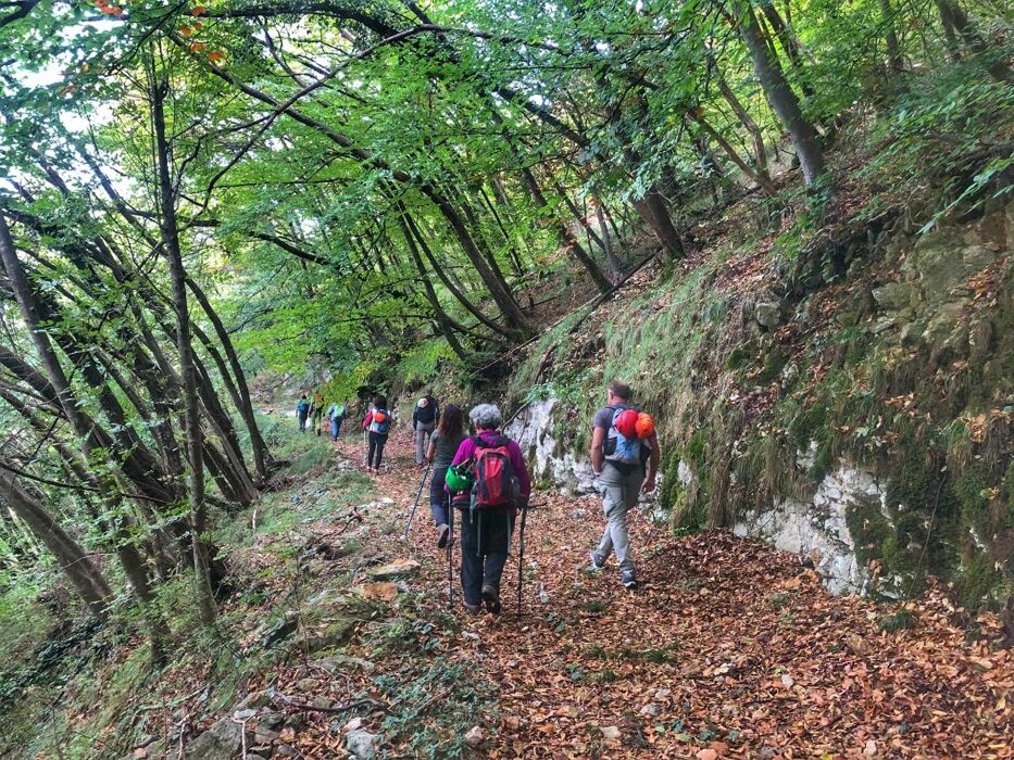 Viaggio nel tempo a Monte di Malo: trekking e cena di prodotti locali Viaggio nel tempo a Monte di Malo: trekking e cena di prodotti locali desktop picture