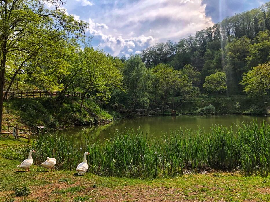 Viaggio nel tempo a Monte di Malo: trekking e cena di prodotti locali Viaggio nel tempo a Monte di Malo: trekking e cena di prodotti locali desktop picture