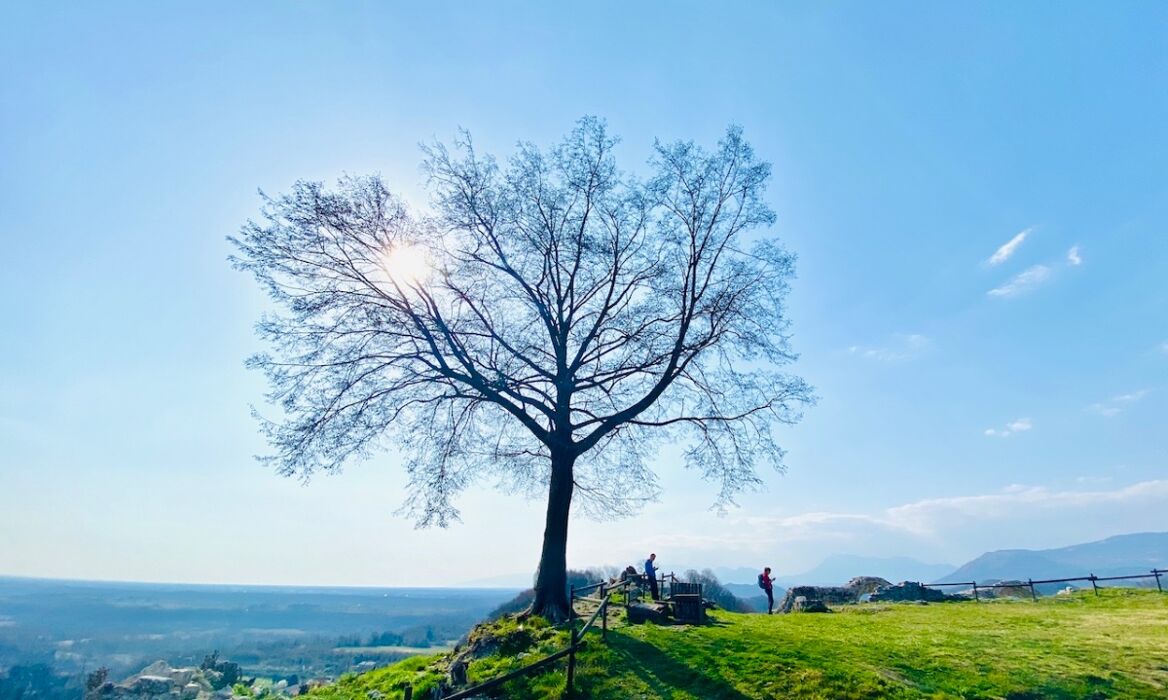 Passeggiata a Pinzano al Tagliamento con pranzo al ristorante Passeggiata a Pinzano al Tagliamento con pranzo al ristorante desktop picture