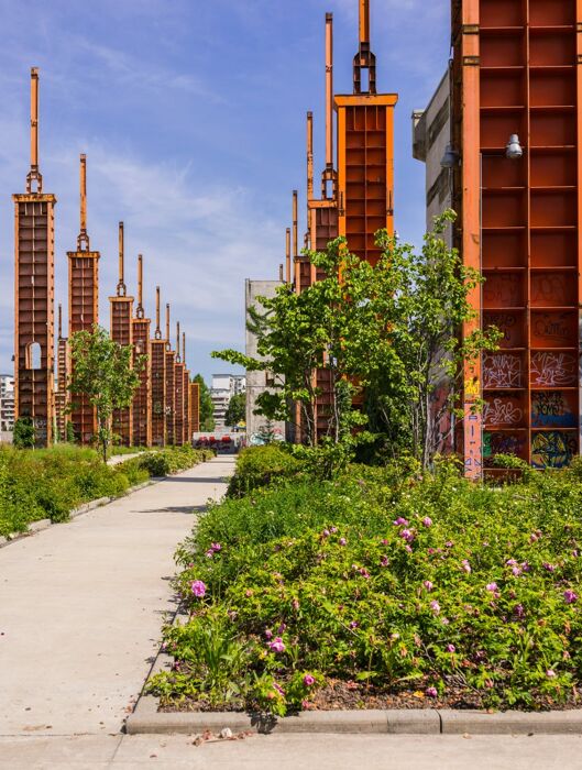 Trekking urbano-culturale a Torino Trekking urbano-culturale a Torino desktop picture