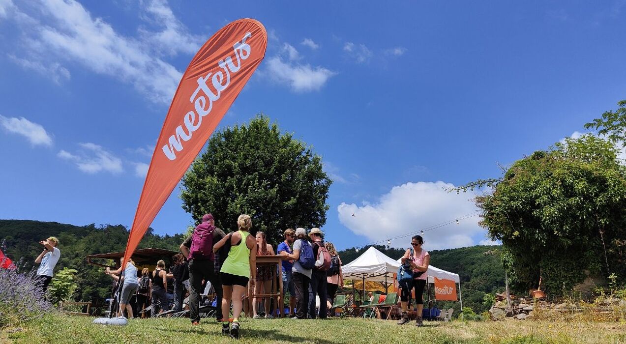 Raduno Meeters in Toscana: pic-nic con Dj Set Raduno Meeters in Toscana: pic-nic con Dj Set desktop picture