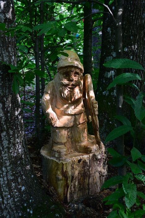 Arte e Natura a Zocca: Tour tra Sculture e Castagne nei boschi modenesi Arte e Natura a Zocca: Tour tra Sculture e Castagne nei boschi modenesi desktop picture