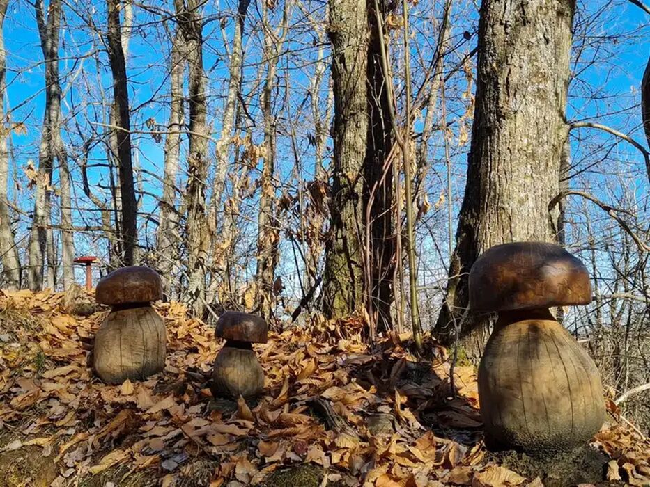 Natura e arte e tra i castagni di Monte San Giacomo Natura e arte e tra i castagni di Monte San Giacomo desktop picture