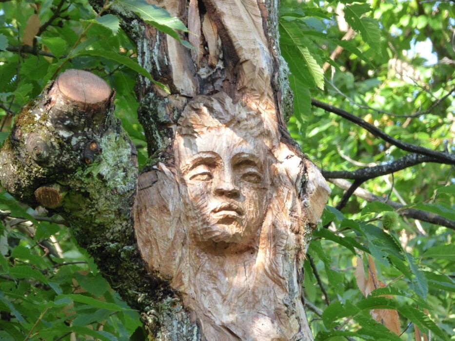 Arte e Natura a Zocca: Tour tra Sculture e Castagne nei boschi modenesi Arte e Natura a Zocca: Tour tra Sculture e Castagne nei boschi modenesi desktop picture