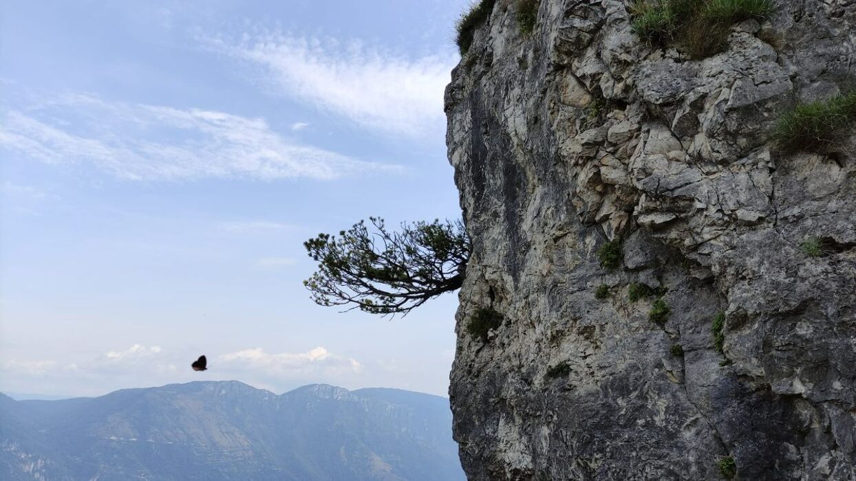 Escursione sulle creste del Monte Summano Escursione sulle creste del Monte Summano desktop picture