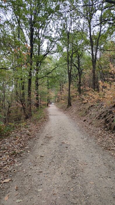 Trekking alle porte di Torino: camminata tra gli ex ghiacciai Trekking alle porte di Torino: camminata tra gli ex ghiacciai desktop picture