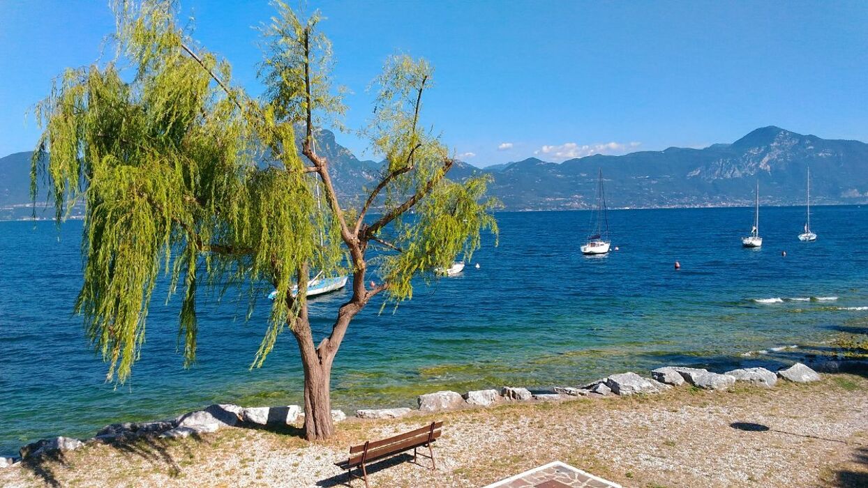 Gita a Torri del Benaco: il Castello Scaligero e il borgo medievale Gita a Torri del Benaco: il Castello Scaligero e il borgo medievale desktop picture