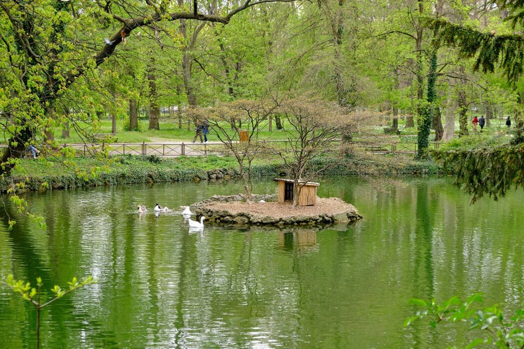 Camminata Metabolica al Parco di Monza Camminata Metabolica al Parco di Monza desktop picture