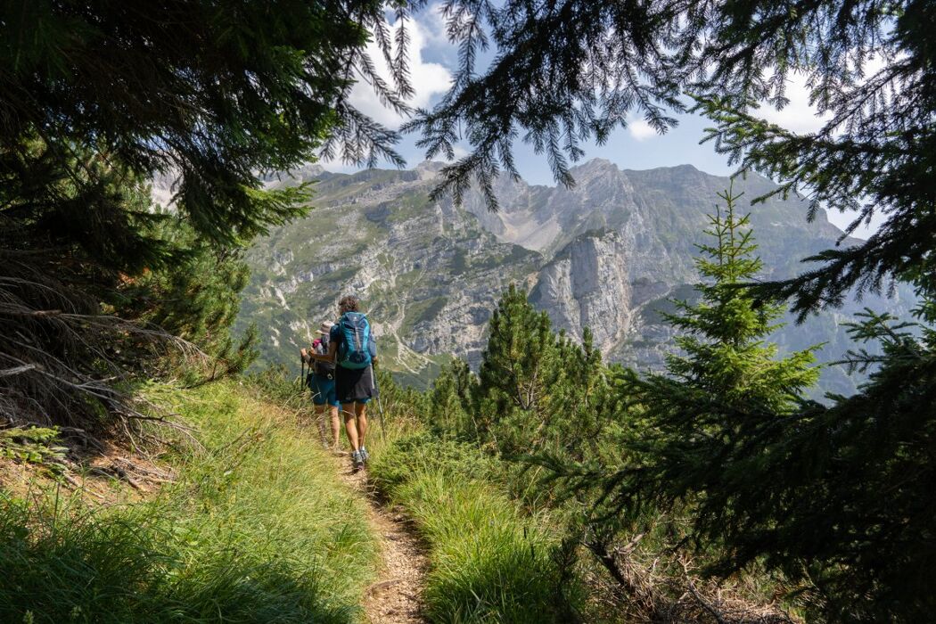 Escursione nel Parco delle Dolomiti Bellunesi: il Pramperet Escursione nel Parco delle Dolomiti Bellunesi: il Pramperet desktop picture