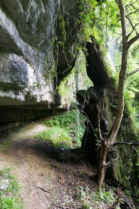 Escursione nell’Alto Vicentino tra natura e storia Escursione nell’Alto Vicentino tra natura e storia desktop picture