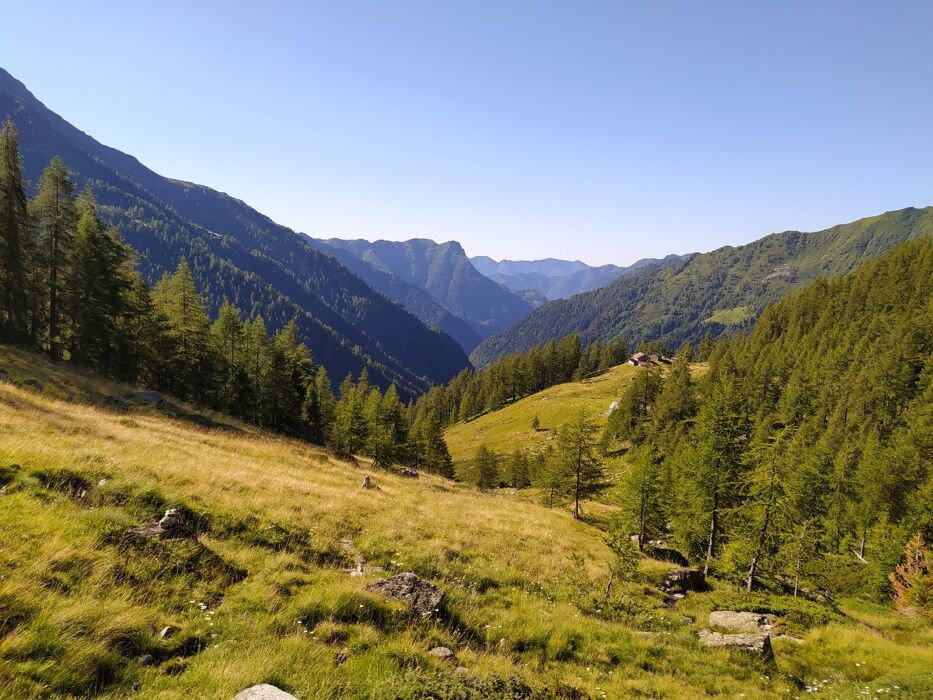 Escursione ad anello in Alta Valsesia: gli alpeggi di Carcoforo Escursione ad anello in Alta Valsesia: gli alpeggi di Carcoforo desktop picture