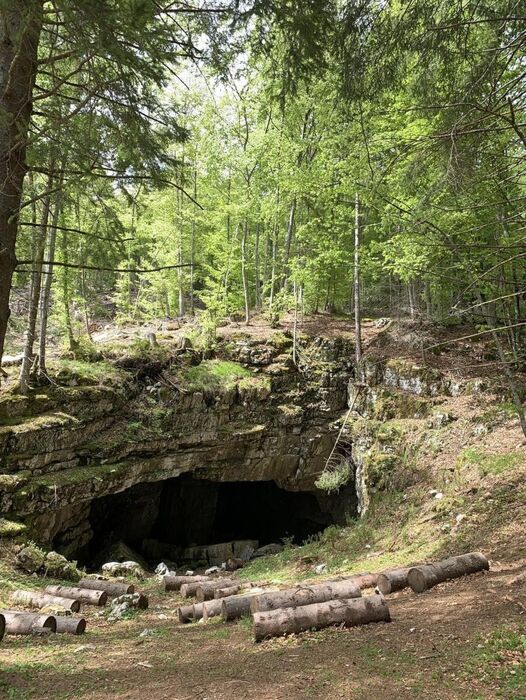 Trekking tra arte e natura sul Monte Erio Trekking tra arte e natura sul Monte Erio desktop picture