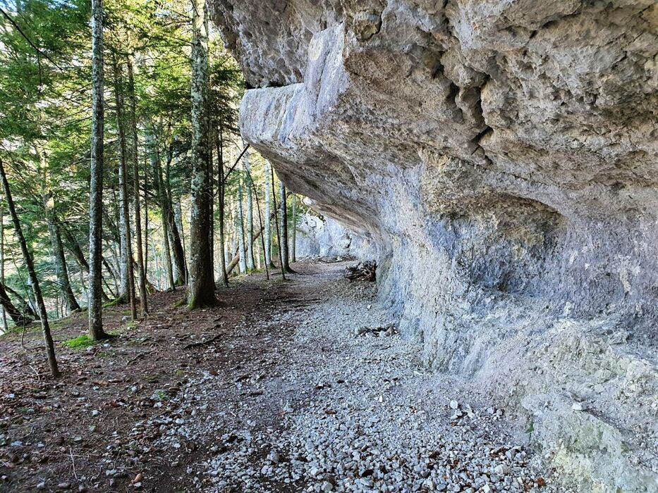 Escursione nelle terre dei Cimbri: Bostel, Altar Knotto e Alta Kugela Escursione nelle terre dei Cimbri: Bostel, Altar Knotto e Alta Kugela desktop picture