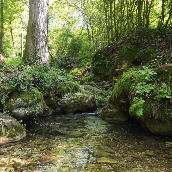 Passeggiata da Segusino a Milies attraverso il Trodo delle Acque Passeggiata da Segusino a Milies attraverso il Trodo delle Acque desktop picture