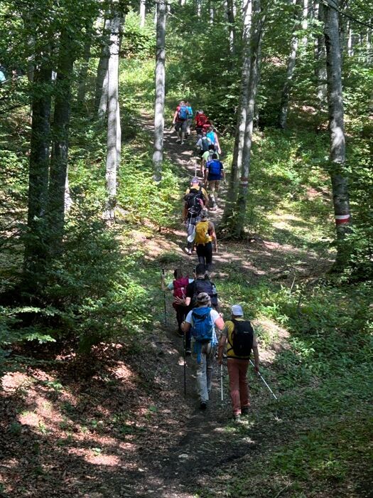 Trekking panoramico: in cima al Monte Caio Trekking panoramico: in cima al Monte Caio desktop picture