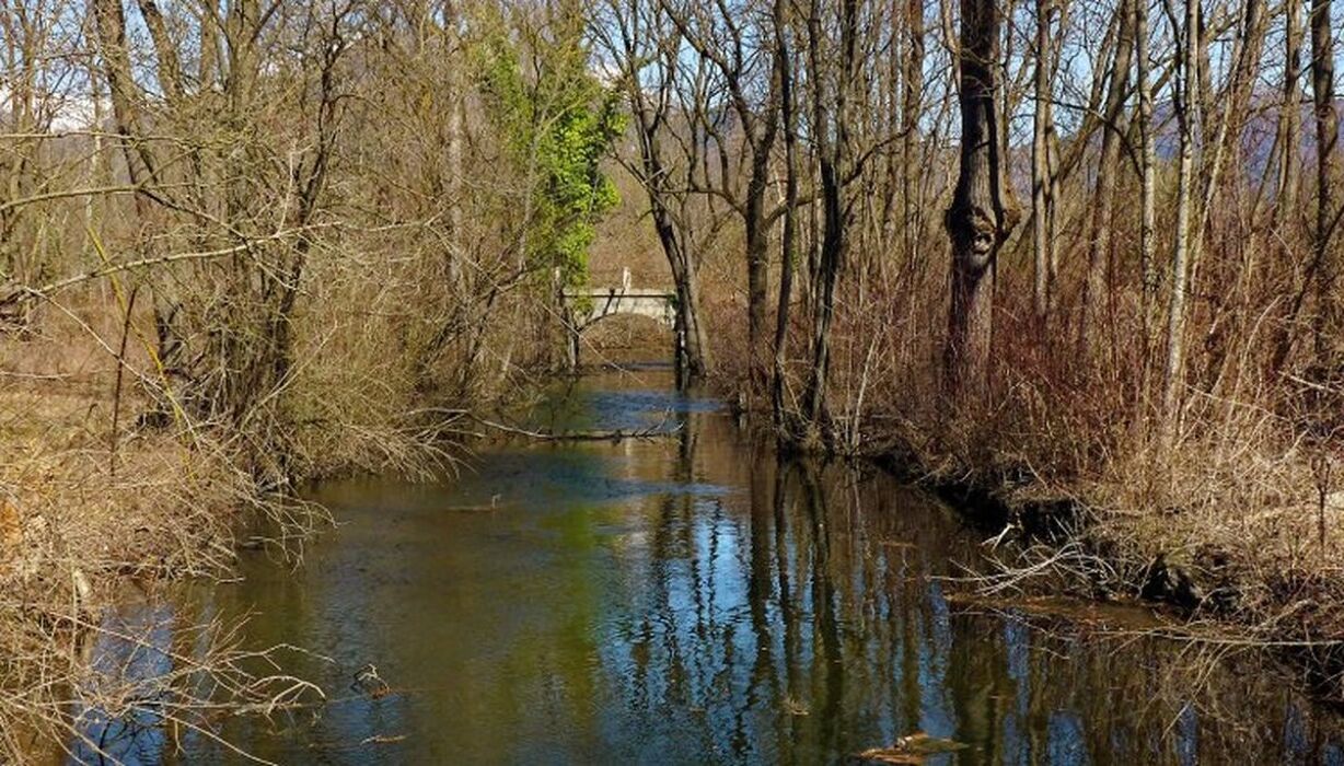 Escursione tra i laghi di Avigliana: sulle orme del grande ghiacciaio Escursione tra i laghi di Avigliana: sulle orme del grande ghiacciaio desktop picture