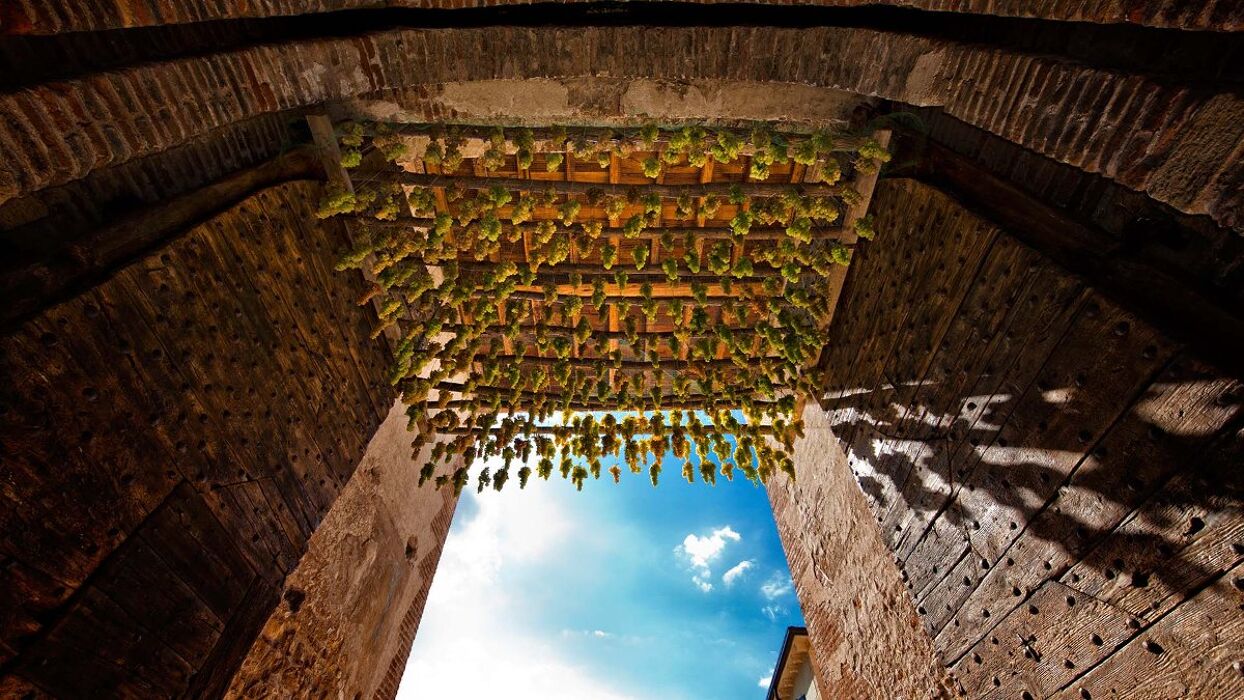 Tour nel borgo fortificato di Soave: la Festa dell'Uva Tour nel borgo fortificato di Soave: la Festa dell'Uva desktop picture