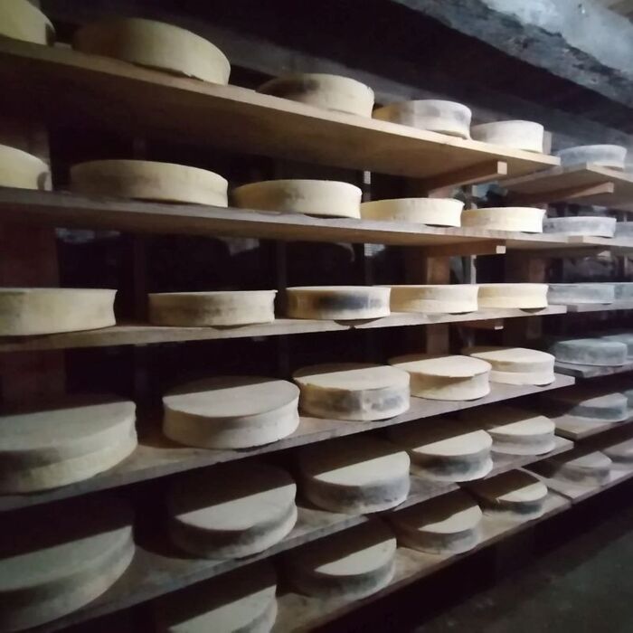 Trekking nelle Valli del Bitto: degustazione e caseificazione Trekking nelle Valli del Bitto: degustazione e caseificazione desktop picture