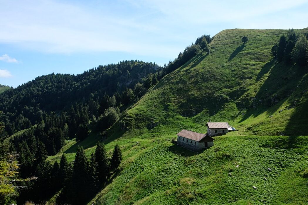 Escursione al Bosco degli Eroi dal Rifugio Bocchette Escursione al Bosco degli Eroi dal Rifugio Bocchette desktop picture
