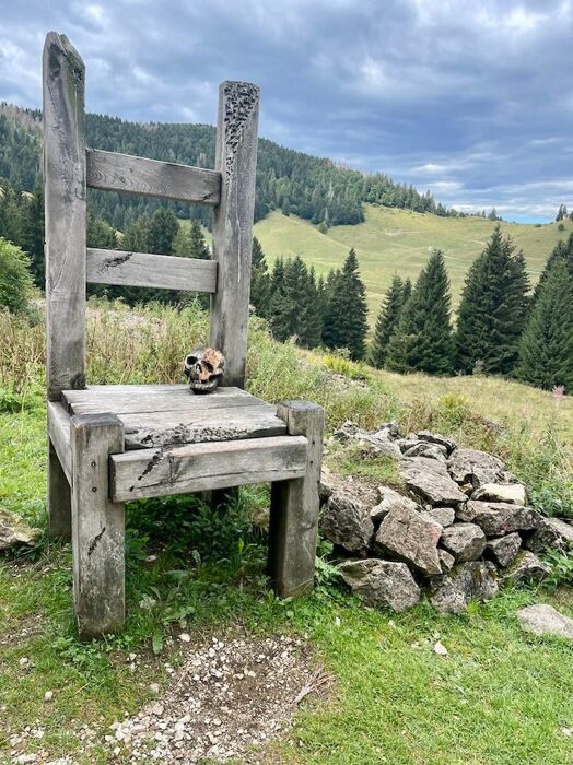Escursione al Bosco degli Eroi dal Rifugio Bocchette Escursione al Bosco degli Eroi dal Rifugio Bocchette desktop picture