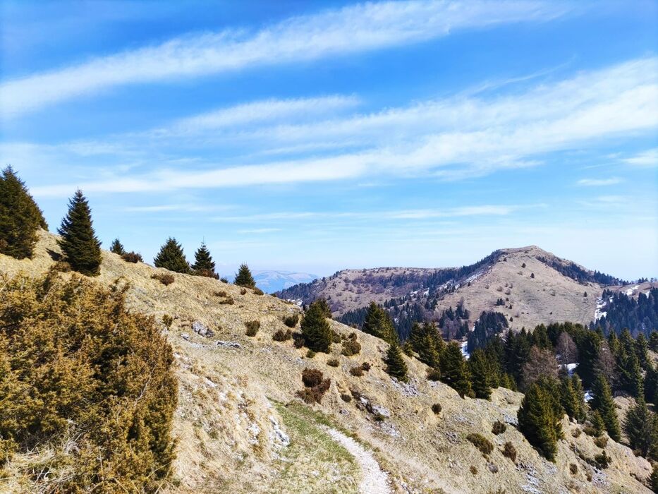 Escursione al Bosco degli Eroi dal Rifugio Bocchette Escursione al Bosco degli Eroi dal Rifugio Bocchette desktop picture