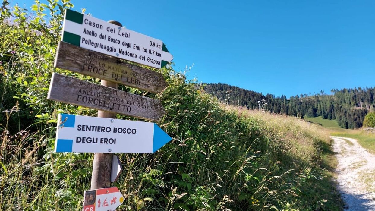 Escursione al Bosco degli Eroi dal Rifugio Bocchette Escursione al Bosco degli Eroi dal Rifugio Bocchette desktop picture