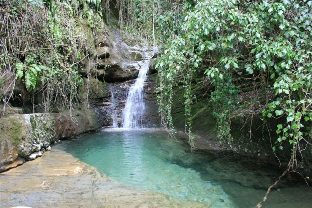 Escursione a Cerro Veronese: contrade, sorgenti e natura selvaggia Escursione a Cerro Veronese: contrade, sorgenti e natura selvaggia desktop picture