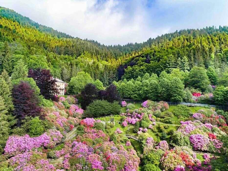 Trekking nei paesaggi mozzafiato dell'Oasi Zegna e delle Alpi Biellesi Trekking nei paesaggi mozzafiato dell'Oasi Zegna e delle Alpi Biellesi desktop picture