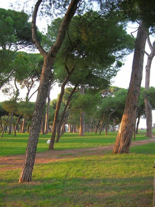 Passeggiata serale, stretching e aperitivo a Roma Passeggiata serale, stretching e aperitivo a Roma desktop picture