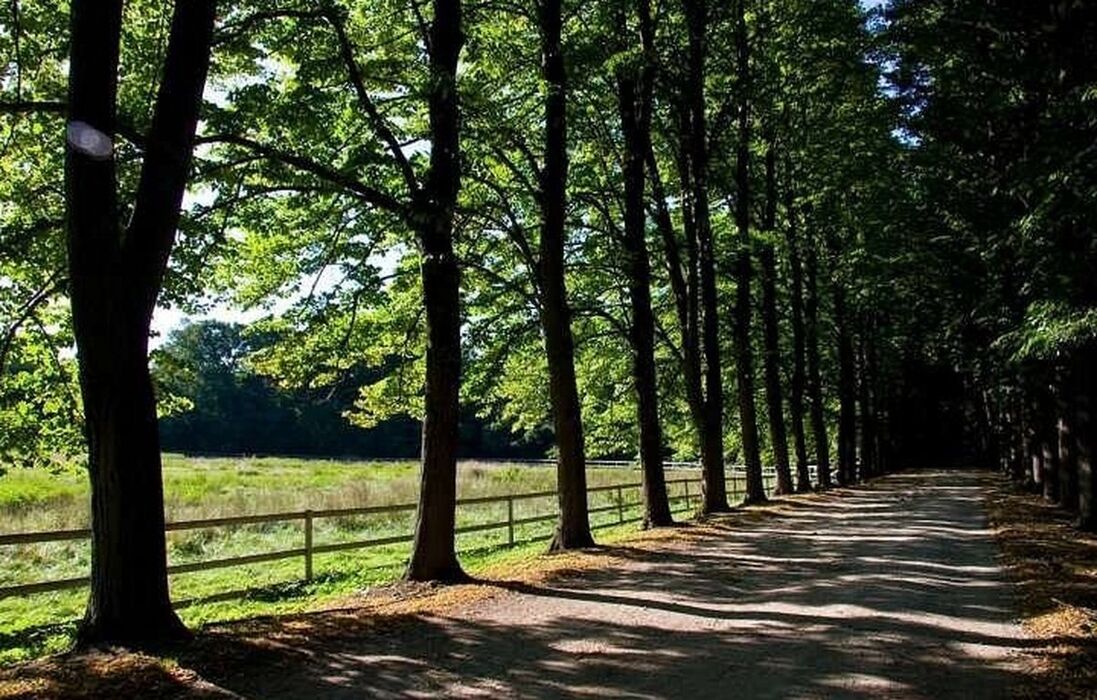 Gita panoramica sul Lago Maggiore: il Parco Golfo della Quassa Gita panoramica sul Lago Maggiore: il Parco Golfo della Quassa desktop picture