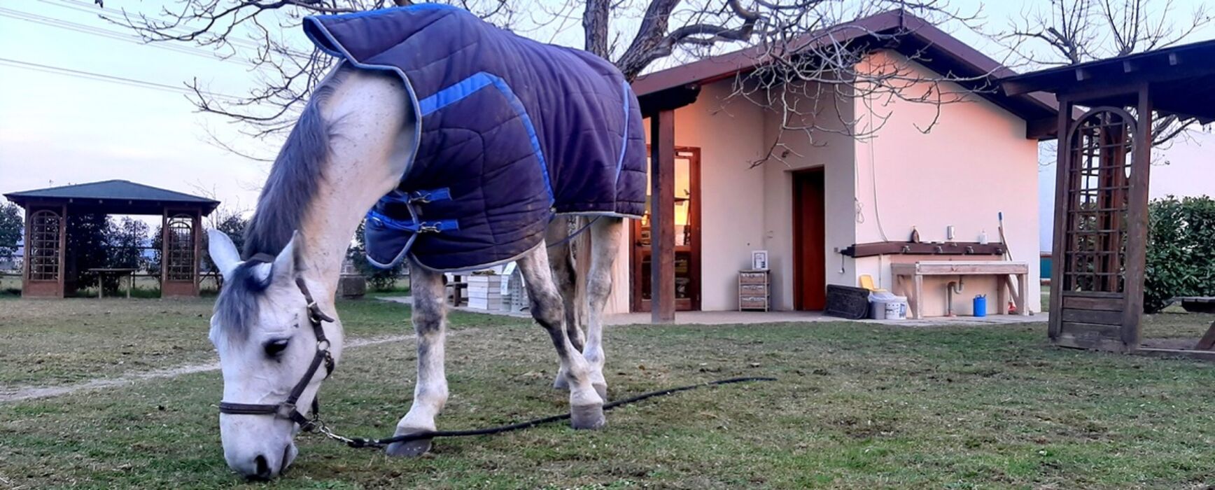 Apericena estivo in cascina alle porte di Bergamo Apericena estivo in cascina alle porte di Bergamo desktop picture