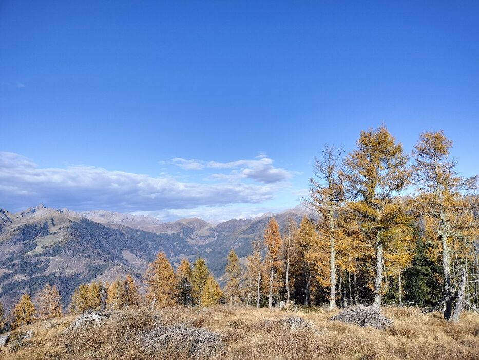 Trekking al Monte Salubio, un balcone sul selvaggio Lagorai Trekking al Monte Salubio, un balcone sul selvaggio Lagorai desktop picture