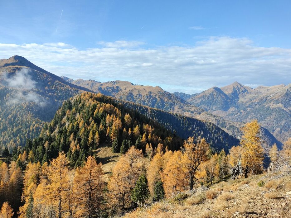 Trekking al Monte Salubio, un balcone sul selvaggio Lagorai Trekking al Monte Salubio, un balcone sul selvaggio Lagorai desktop picture