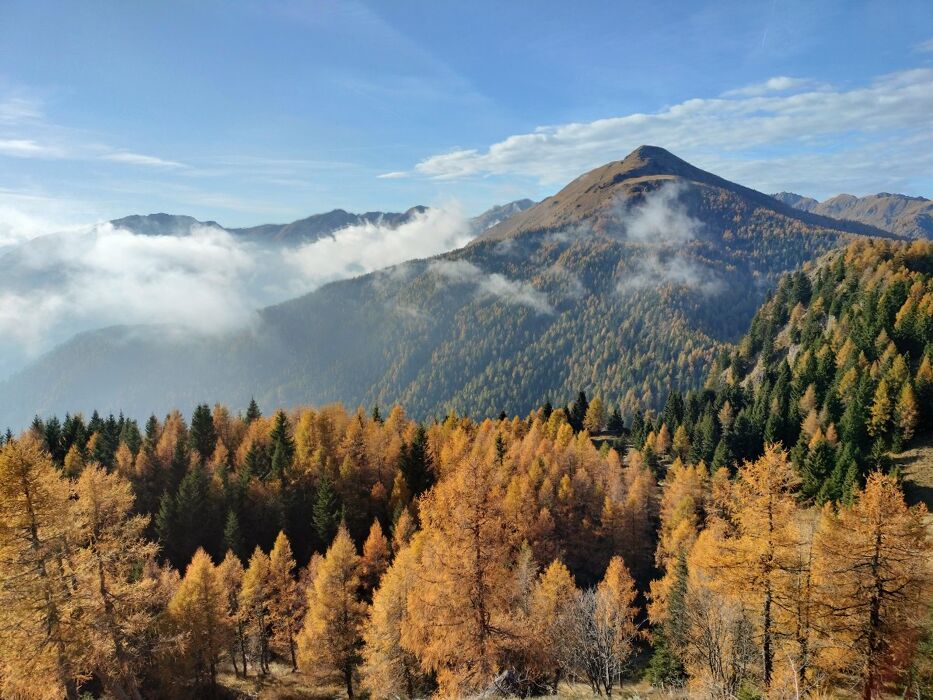 Trekking al Monte Salubio, un balcone sul selvaggio Lagorai Trekking al Monte Salubio, un balcone sul selvaggio Lagorai desktop picture