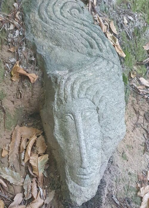 Sentiero Dee Teste: un'esperienza magica sui Colli Euganei Sentiero Dee Teste: un'esperienza magica sui Colli Euganei desktop picture