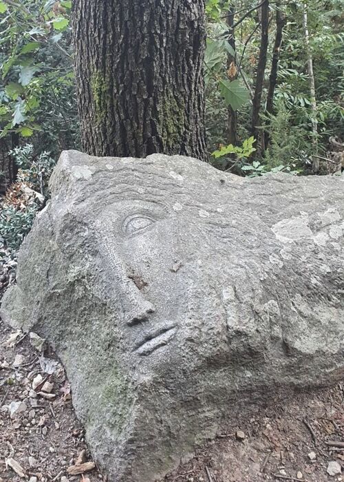 Sentiero Dee Teste: un'esperienza magica sui Colli Euganei Sentiero Dee Teste: un'esperienza magica sui Colli Euganei desktop picture