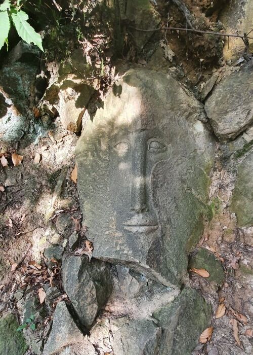 Sentiero Dee Teste: un'esperienza magica sui Colli Euganei Sentiero Dee Teste: un'esperienza magica sui Colli Euganei desktop picture