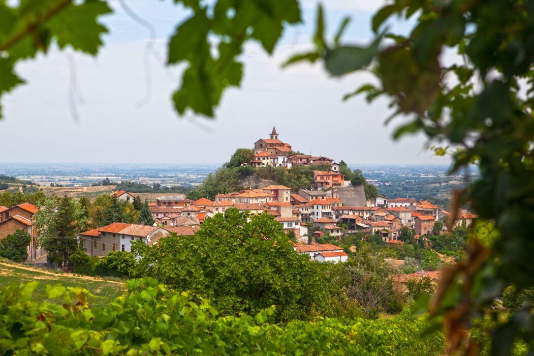Camminata tra i colli tortonesi tra vigneti, boschetti e frutteti Camminata tra i colli tortonesi tra vigneti, boschetti e frutteti desktop picture