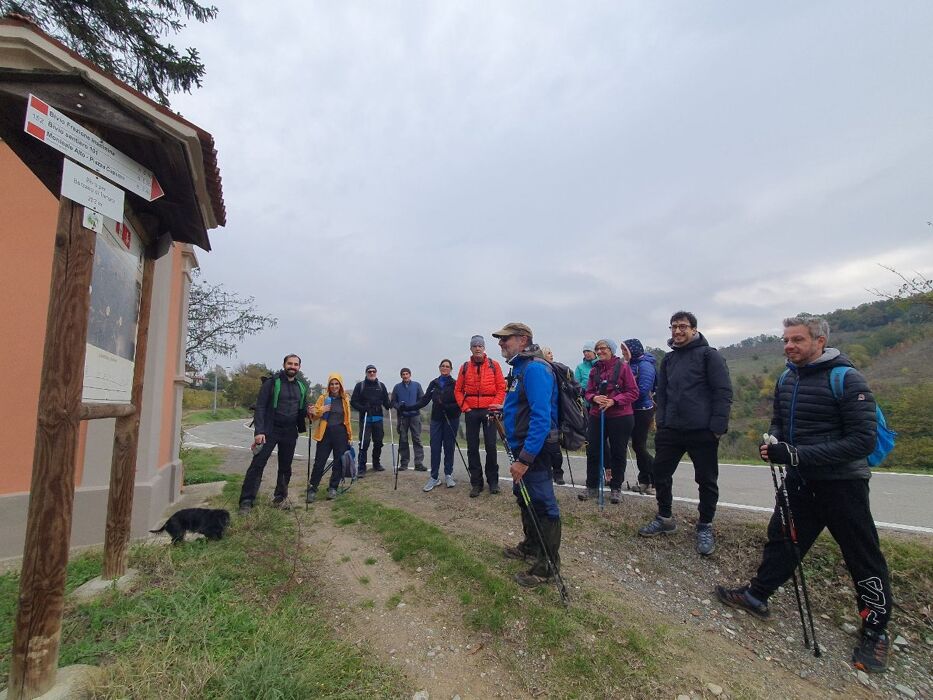 Camminata tra i colli tortonesi tra vigneti, boschetti e frutteti Camminata tra i colli tortonesi tra vigneti, boschetti e frutteti desktop picture