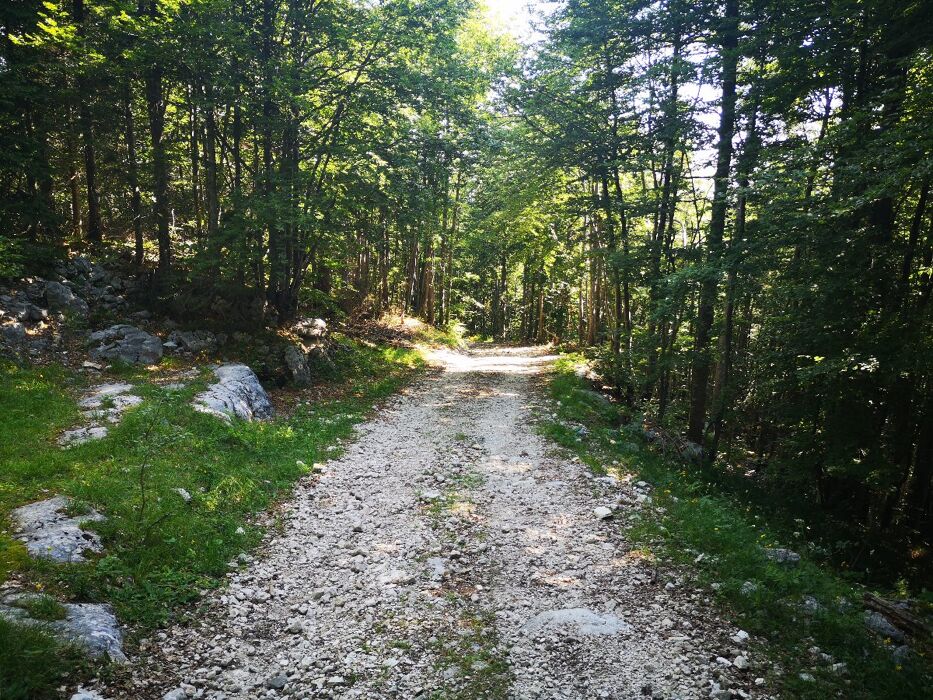 Escursione all'Aquila Vaia di Marcesina Escursione all'Aquila Vaia di Marcesina desktop picture