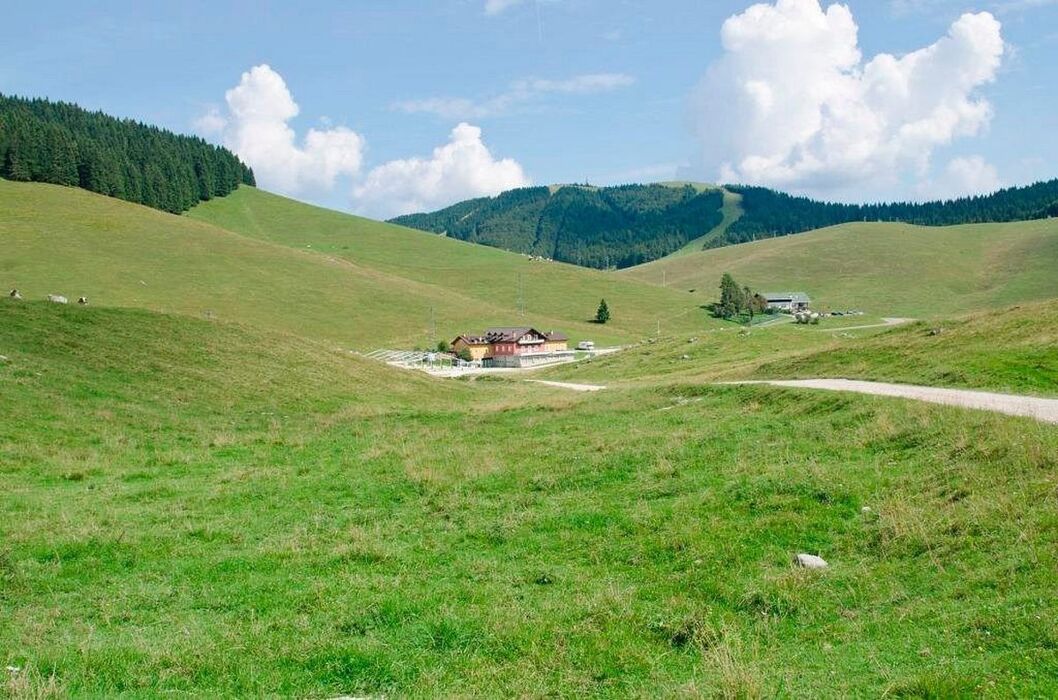 Escursione all'Aquila Vaia di Marcesina Escursione all'Aquila Vaia di Marcesina desktop picture