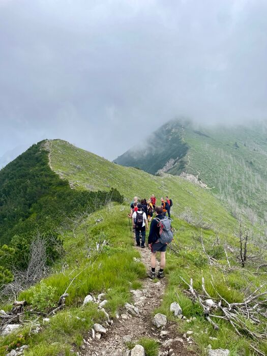 Escursione da Rifugio Larici a Cima Portule Escursione da Rifugio Larici a Cima Portule desktop picture