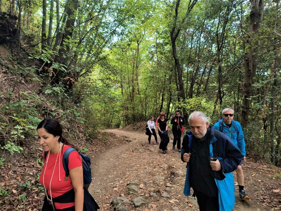 Fuga nel Verde: Trekking al Lago Albano Fuga nel Verde: Trekking al Lago Albano desktop picture