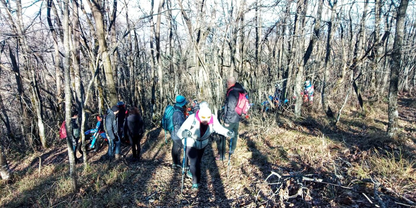 Escursione tra natura e murales nei dintorni di Tolè Escursione tra natura e murales nei dintorni di Tolè desktop picture