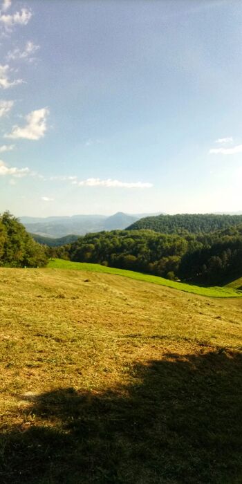 Escursione tra natura e murales nei dintorni di Tolè Escursione tra natura e murales nei dintorni di Tolè desktop picture
