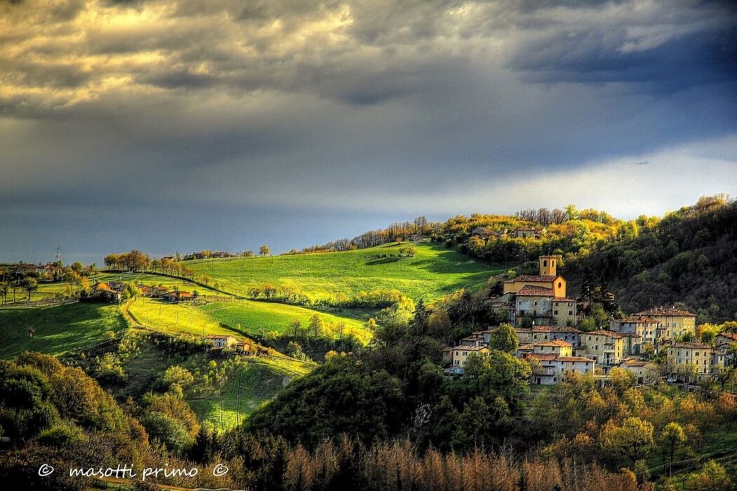 Arte e Natura a Zocca: Tour tra Sculture e Castagne nei boschi modenesi Arte e Natura a Zocca: Tour tra Sculture e Castagne nei boschi modenesi desktop picture