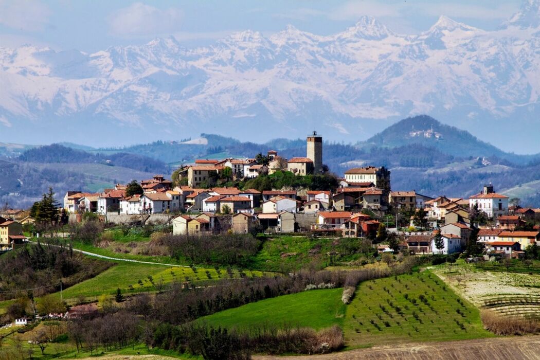 Cerca del Tartufo con Pranzo Tipico nel Monferrato Cerca del Tartufo con Pranzo Tipico nel Monferrato desktop picture