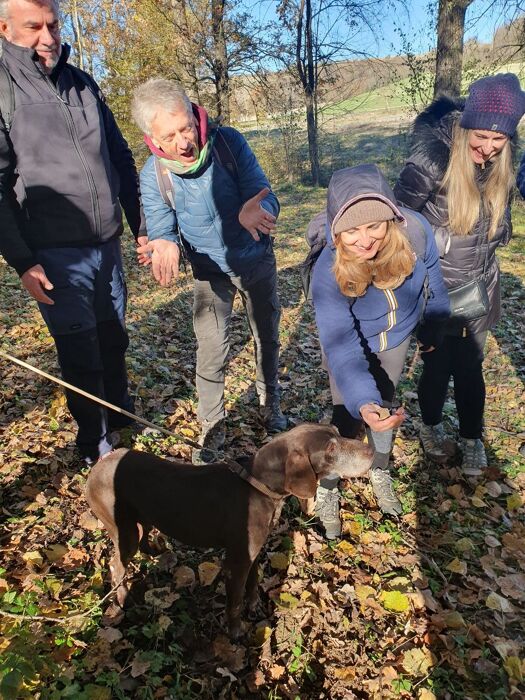 Cerca del Tartufo con Pranzo Tipico nel Monferrato Cerca del Tartufo con Pranzo Tipico nel Monferrato desktop picture