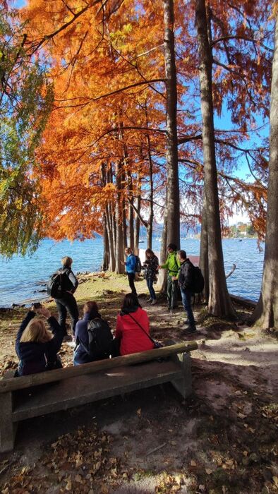 L'Incantevole Lago Maggiore e il Sentiero Verbano L'Incantevole Lago Maggiore e il Sentiero Verbano desktop picture